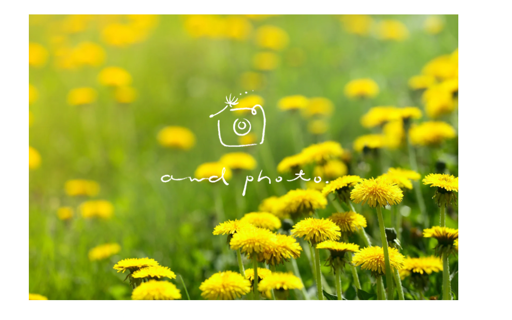フォトグラファー　イラストロゴ　手描きロゴ　たんぽぽロゴ